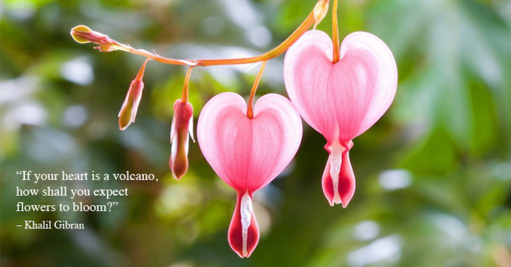 Volcano-Gibran-sized